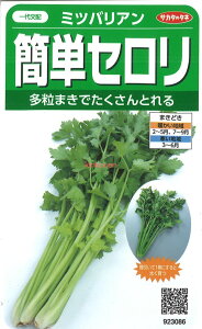 yszy5܂܂80~z seed  tane  q@~coA ȒPZ qq t  ~coA ȒPZqq t   seed  tane  q~coA