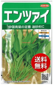 【代引不可】 seed たね tane 種 種子　□エンツァイ ◇種子種子 葉野菜 他 種エンツァイ種子種子 葉野菜 他 種 seed たね tane 種 種子エンツァイ種子種子 葉野菜 他 種 seed たね tane 種