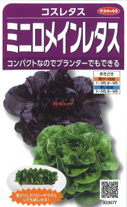 yszy5܂܂80~z RX^X ~jC^X