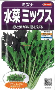 yszy5܂܂80~z ~Yi ؃~bNX ݂ ~Yi