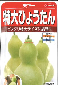 yszy5܂܂80~z seed  tane  q@V Ђ傤 qq t  V Ђ傤qq t   seed  tane  qV Ђ