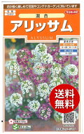 【代引不可】 seed たね tane 種 種子　□アリッサム混合 ◇種子種子 花 種アリッサム混合種子種子 花 種…