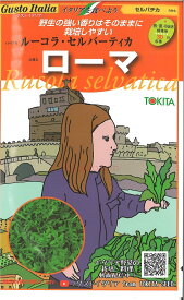 【代引不可】【送料5袋まで80円】 □ セルバチカ ルーコラ・セルバ-ティカ ローマ■ハーブ 種 ハーブ 種 ハーブ 種 ハーブ 種 ハーブ 種 ハーブ 種 ハーブ 種 ハーブ 種 ハーブ 種 ハーブ 種 ハーブ 種 ハーブ 種 ハーブ 種