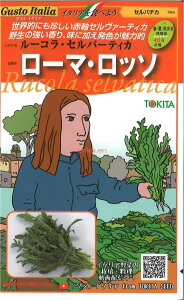 yszy5܂܂80~z seed  tane  q@Zo`J [REZo[eBJ [}Eb\ qq n[u Zo`J [REZo[eBJ [}Eb