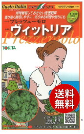 【代引不可】【送料5袋まで80円】 seed たね tane 種 種子　□イタリアンパセリ プレッツェーモロ ウ゛ィットリア ◇種子種子 葉野菜 他 種種子 ハーブ 種イタリアンパセリ プレッツェーモロ ウ゛ィットリア種子種子 葉野菜 他