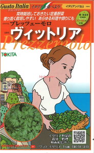 yszy5܂܂80~z seed  tane  q@C^ApZ vbcF[ EJBbgA qq t  q n[u C^ApZ vbcF[ 