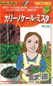 yszy5܂܂80~z seed  tane  q@P[ P[ J[mP[E~X^ qq Lxc P[ P[ J[mP[E~X^qq Lxc  seed 