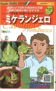 yszy5܂܂80~z seed  tane  q@Jt[ J[EJHtBI[}lXR^Cv ~PWF qq ubR[ Jt[ ^X Jt