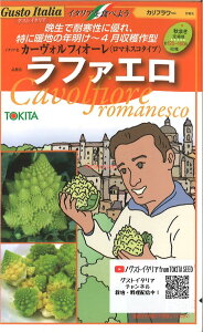 yszy5܂܂80~z seed  tane  q@Jt[ J[EJHtBI[}lXR^Cv t@G ĂȂƐHׂȂA؃AxWqq u