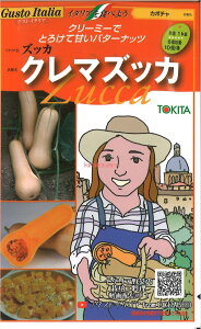 【代引不可】【送料5袋まで80円】 seed たね tane 種 種子 □カボチャ バターナッツ ズッカ クレマズッカ ◇種子種子 カボチャ 種カボチャ ズッカ クレマズッカ バターナッツ種子種子 カボチ