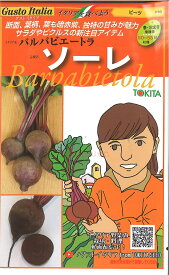 【代引不可】【送料5袋まで80円】 □ ビーツ バルバビエートラ ソーレ■葉野菜 他 種ハーブ 種 葉野菜 他 種ハーブ 種 葉野菜 他 種ハーブ 種 葉野菜 他 種ハーブ 種 葉野菜 他 種ハーブ 種 葉野菜 他 種ハーブ 種 葉野菜 他