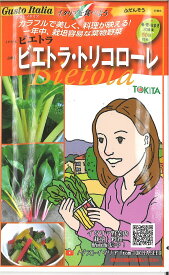 【代引不可】【送料5袋まで80円】 □ ふだん草 ビエトラ ビエトラ・トリコローレ■葉野菜 他 種ハーブ 種 葉野菜 他 種ハーブ 種 葉野菜 他 種ハーブ 種 葉野菜 他 種ハーブ 種 葉野菜 他 種ハーブ 種 葉野菜 他 種ハーブ 種 葉野菜