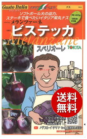【代引不可】【送料5袋まで80円】 seed たね tane 種 種子　□ナス メランツァーネ ビステッカスペリオーレ ◇種子種子 ナス 種ナス メランツァーネ ビステッカスペリオーレ種子種子 ナス 種 seed たね tane 種 種子ナ