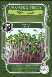 yszy5܂܂80~z seed  tane  q@ԃLxcXvEg qq t  ԃLxcXvEgqq t   seed  tane  qԃLxcXv