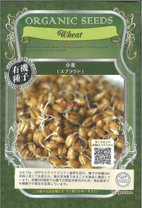 yszy5܂܂80~z seed  tane  q@XvEg qq t  포XvEgqq t   seed  tane  qXvEgqq t