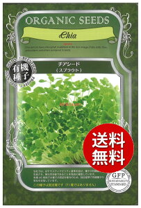 �y����s�z seed ���� tane �� ��q�@���`�A�V�[�h�X�v���E�g ����q��q �t��� �� ��`�A�V�[�h�X�v���E�g��q��q �t��� �� �� seed ���� tane �� ��q�`�A�V�[�h�X�v���E�g��q��q �t��