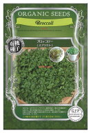 【代引不可】【送料10袋まで80円】 seed たね tane 種 種子　□ブロッコリー スプラウト ◇種子種子 葉野…
