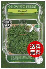 【代引不可】【送料5袋まで80円】 seed たね tane 種 種子　□ブロッコリー スプラウト ◇種子種子 葉野菜 他 種ブロッコリー スプラウト種子種子 葉野菜 他 種 seed たね tane 種 種子ブロッコリー スプラウト種