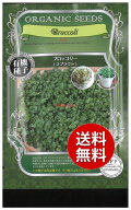 【代引不可】 seed たね tane 種 種子　□ブロッコリー スプラウト ブロッコリーの芽 ブロッコリーの芽 …