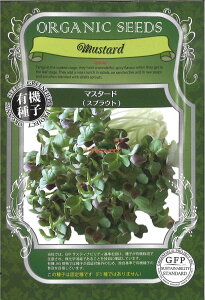 yszy5܂܂80~z seed  tane  q@}X^[h XvEg qq t  }X^[h XvEgqq t   seed  tane  q}X^[h Xv