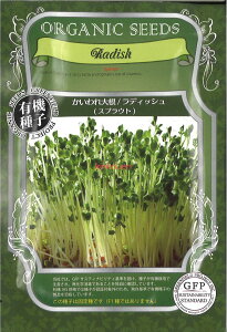 yszy5܂܂80~z seed  tane  q@卪fBbV XvEg qq t  킩卪fBbV XvEgqq t   seed 