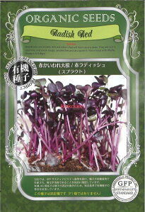 yszy5܂܂80~z seed  tane  q@Ԃ卪ԃfBbV XvEg qq t  Ԃ卪ԃfBbV XvEgqq t  