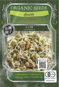 【代引不可】【送料5袋まで80円】 seed たね tane 種 種子 □レンズ豆 スプラウト ◇種子種子 葉野菜 他 種レンズ豆 スプラウト種子種子 葉野菜 他 種 seed たね tane 種 種子レンズ豆 スプラウト