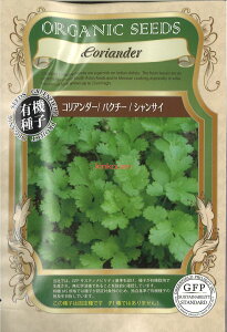 yszy5܂܂80~z seed  tane  q@RA_[pN`[VTC qq n[u RA_[pN`[VTCqq n[u  seed  tane  qR