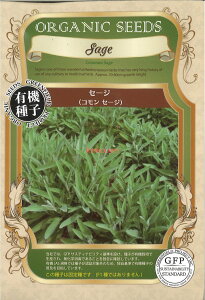 yszy5܂܂80~z seed  tane  q@Z[WRZ[W qq n[u Z[WRZ[Wqq n[u  seed  tane  qZ[WRZ[Wqq