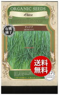 【代引不可】 【送料無料】seed たね tane 種 種子□チャイブポリビット ◇種子種子 ハーブ 種チャイブポ…
