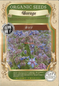 yszy5܂܂80~z seed  tane  q@{W qq n[u q  {Wqq n[u q   seed  tane  q{Wqq n[u q  
