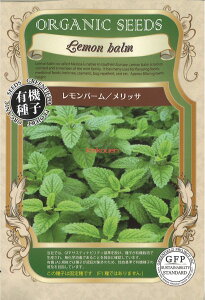 yszy5܂܂80~z seed  tane  q@o[bT qq n[u 탌o[bTqq n[u  seed  tane  qo[bT