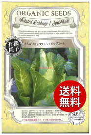 【代引不可】【送料5袋まで80円】 seed たね tane 種 種子　□とんがりキャベツシュピッツコール ◇種子種子 キャベツ 種種子 葉野菜 他 種とんがりキャベツシュピッツコール種子種子 キャベツ 種種子 葉野菜 他 種 seed