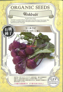 yszy5܂܂80~z seed  tane  q@R[rAXX^[ qq Lxc q t  R[rAXX^[qq Lxc q t 