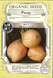 yszy5܂܂80~z seed  tane  q@JubJu^Cv qq 卪 Ju JubJu^Cvqq 卪 Ju  seed  tane  qJub
