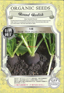 yszy5܂܂80~z seed  tane  q@卪ۑ卪ubNXpjbVEh ĂȂƐHׂȂA؃AxWqq 卪 Ju 卪ۑ卪u