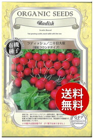 【代引不可】 seed たね tane 種 種子　□ラディッシュ二十日大根深紅ラウンドタイプ ◇種子種子 大根 カブ 種ラディッシュ二十日大根深紅ラウンドタイプ種子種子 大根 カブ 種 seed たね tane