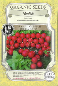 yszy5܂܂80~z seed  tane  q@fBbV\卪[gEh^Cv qq 卪 Ju 탉fBbV\卪[gEh^Cvqq 卪 J