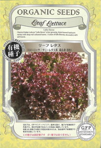 yszy5܂܂80~z seed  tane  q@[t^XbTTj[^XnΐԍF qq ubR[ Jt[ ^X 탊[t^XbTTj[