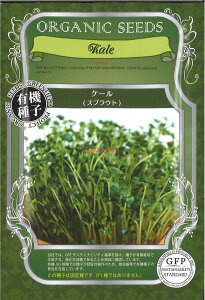 yszy5܂܂80~z seed  tane  q@P[XvEg qq t  P[XvEgqq t   seed  tane  qP[XvEgqq 