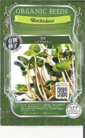 【代引不可】【送料5袋まで80円】◇ seed たね tane 種 種子 タネ □ そばスプラウト ■種子 葉野菜 他 種種子 種子そ 他 種子 葉野菜 他 種種子 種子そ 他 種子 葉野菜 他 種種子 種子そ 他 種子 葉野菜 他 種種子 種子