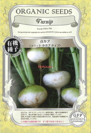【代引不可】【送料5袋まで80円】 seed たね tane 種 種子　□白カブフラット小カブタイプ ◇種子種子 大根 カブ 種白カブフラット小カブタイプ種子種子 大根 カブ 種 seed たね tane 種 種子白カブフラット小