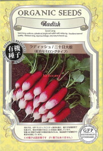 yszy5܂܂80~z seed  tane  q@fBbV\卪gZ~O^Cv qq 卪 Ju 탉fBbV\卪gZ~O^Cvqq 