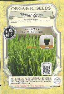 yszy5܂܂80~z seed  tane  q@EB[gOXX[W[AhW[Xp qq t  EB[gOXX[W[AhW[Xpq