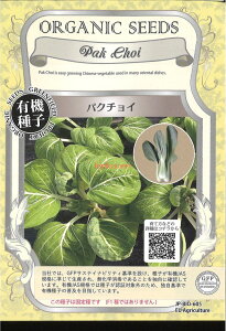 yszy5܂܂80~z seed  tane  q@pN`C qq n[u pN`Cqq n[u  seed  tane  qpN`Cqq n[u  seed  tane 