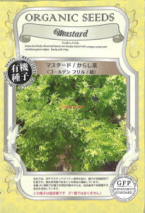 yszy5܂܂80~z seed  tane  q@}X^[h炵؃S[ft qq t  q n[u }X^[h炵؃S[ftΎqq 