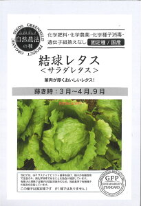 yszy5܂܂80~z seed  tane  q@^XT_^X qq ubR[ Jt[ ^X 팋^XT_^Xqq ubR[ Jt