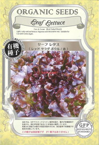 yszy5܂܂80~z seed  tane  q@[t^XbhT_{E qq ubR[ Jt[ ^X 탊[t^XbhT_{EԎqq 