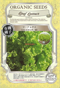 yszy5܂܂80~z seed  tane  q@[t^XrI_ qq ubR[ Jt[ ^X 탊[t^XrI_Ύqq ubR[