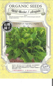 【代引不可】【送料5袋まで80円】◇ seed たね tane 種 種子 タネ □ ワイルドロケット セルバチコ アルグラローマ ■ハーブ 種 ハーブ 種 ハーブ 種 ハーブ 種 ハーブ 種 ハーブ 種 ハーブ 種 ハーブ 種 ハーブ 種 ハ